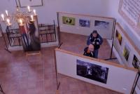 Galerie Moniky POLÍVKOVÉ