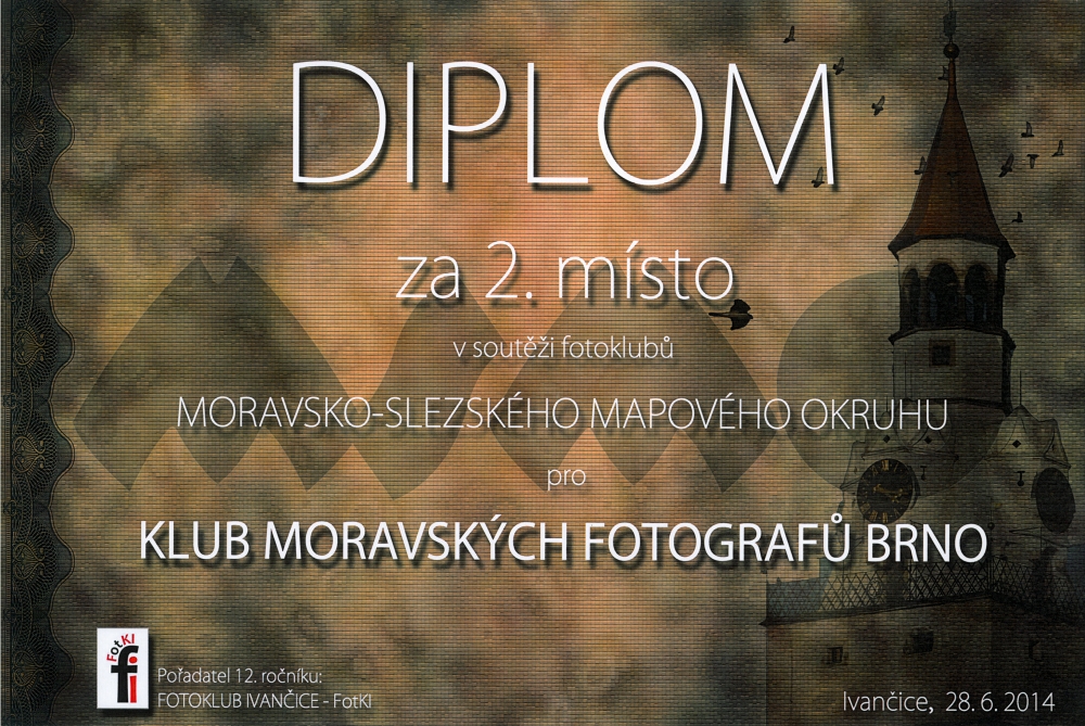 MSMO_2014_Diplom_Kluby